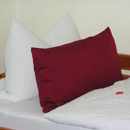 Apartamento Michaela Bucher Erdgeschoss